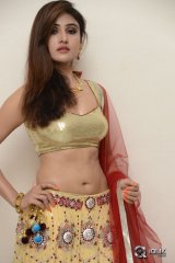 Sony Charishta at Seenugadi Love Story Movie Audio Launch